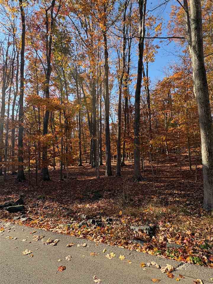 1735 Timber Pass Harbor Springs MI 49740