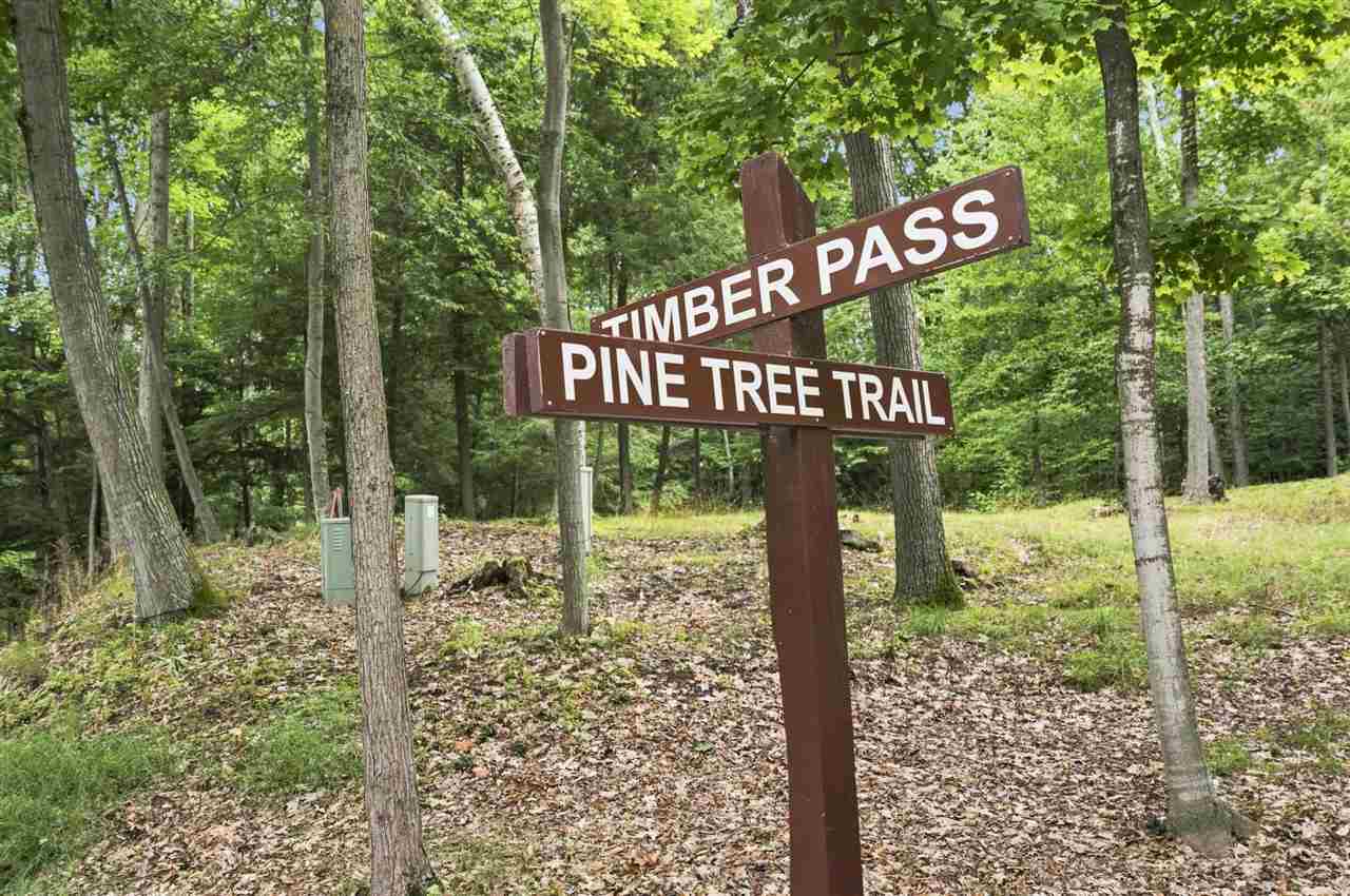 1222 Timber Pass Harbor Springs MI 49740