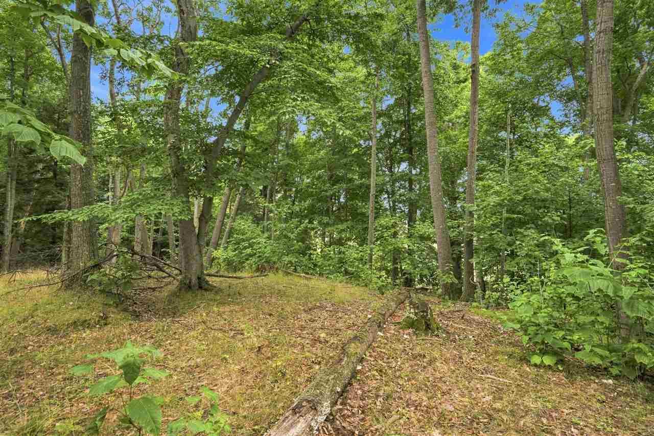 1222 Timber Pass Harbor Springs MI 49740