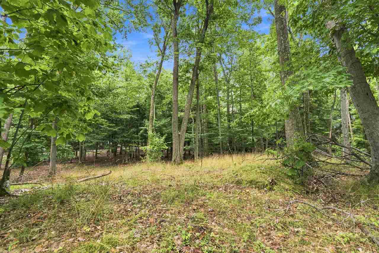 1222 Timber Pass Harbor Springs MI 49740