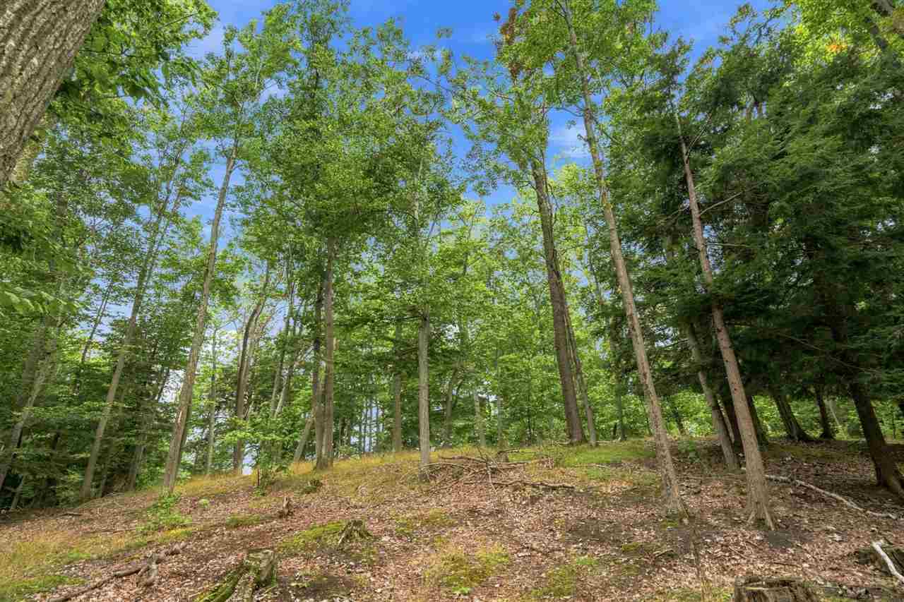 1222 Timber Pass Harbor Springs MI 49740