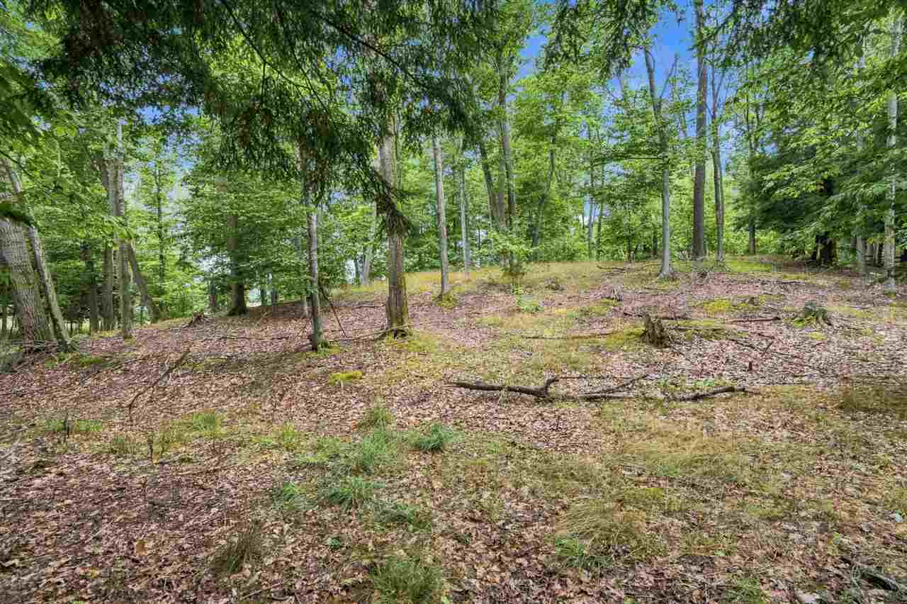 1222 Timber Pass Harbor Springs MI 49740