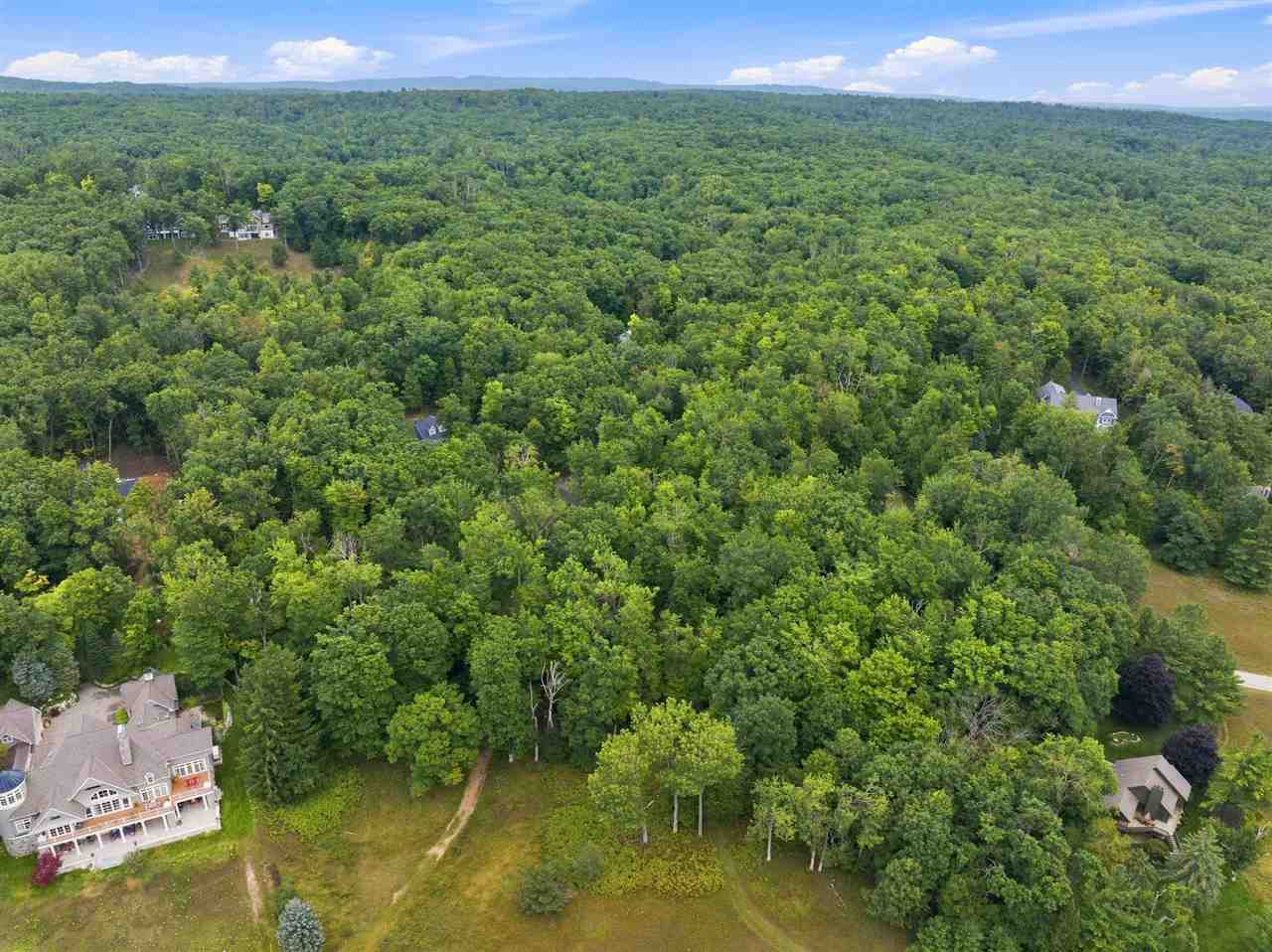 1222 Timber Pass Harbor Springs MI 49740