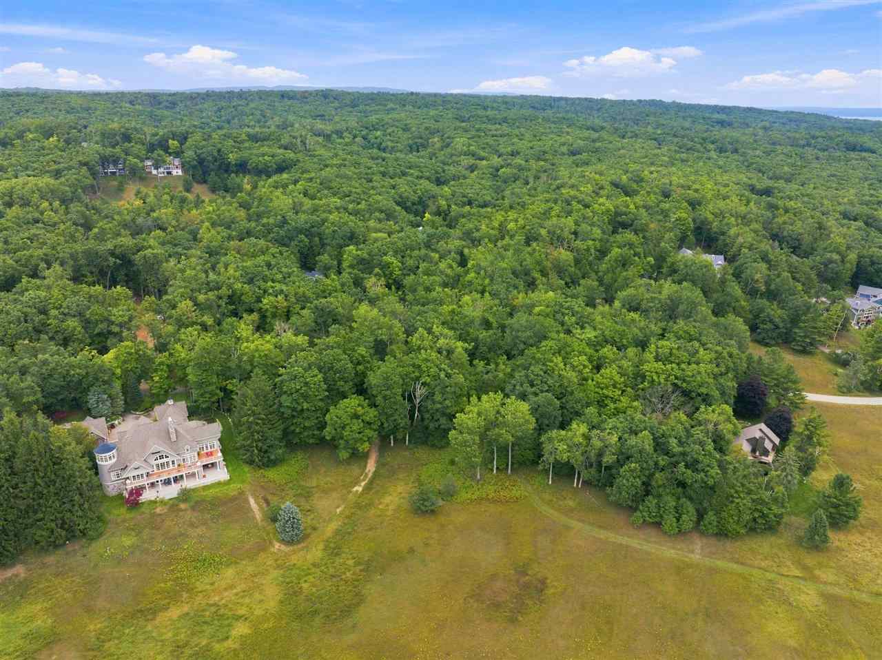 1222 Timber Pass Harbor Springs MI 49740