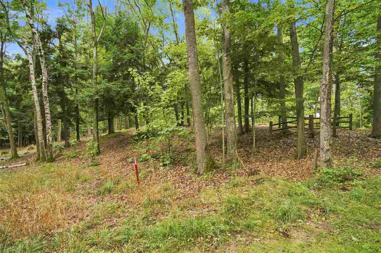 1222 Timber Pass Harbor Springs MI 49740