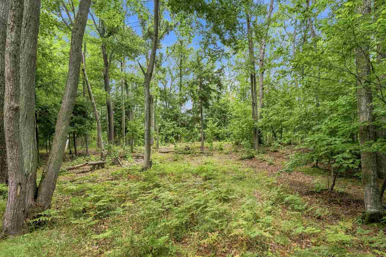 1222 Timber Pass Harbor Springs MI 49740