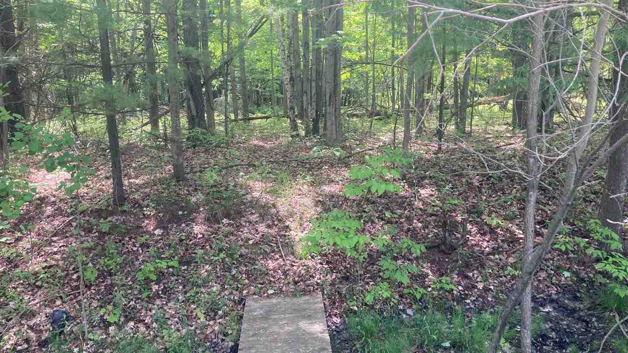Lot 6 Trosko Road Kalkaska MI 49676