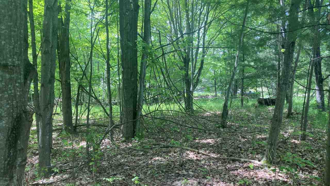 Lot 6 Trosko Road Kalkaska MI 49676