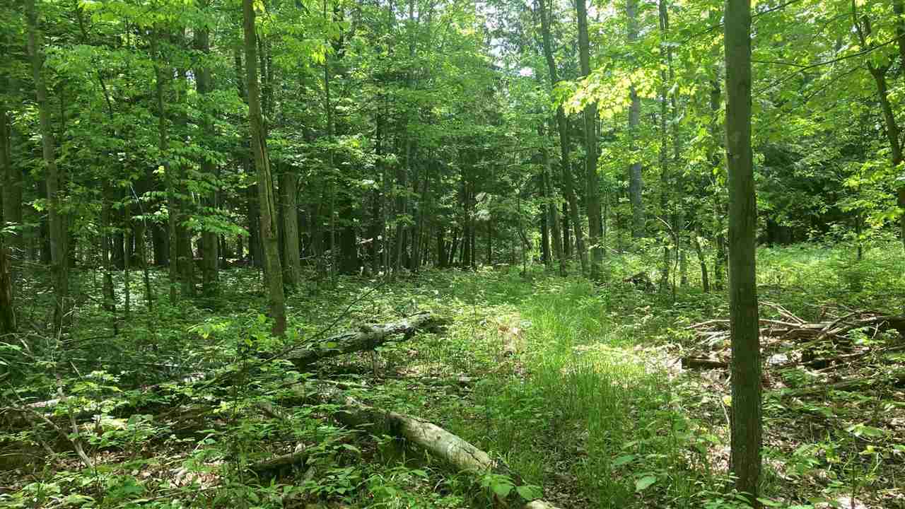 Lot 6 Trosko Road Kalkaska MI 49676
