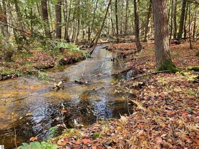 Lot 33 Alden Meadows Alden MI 49612