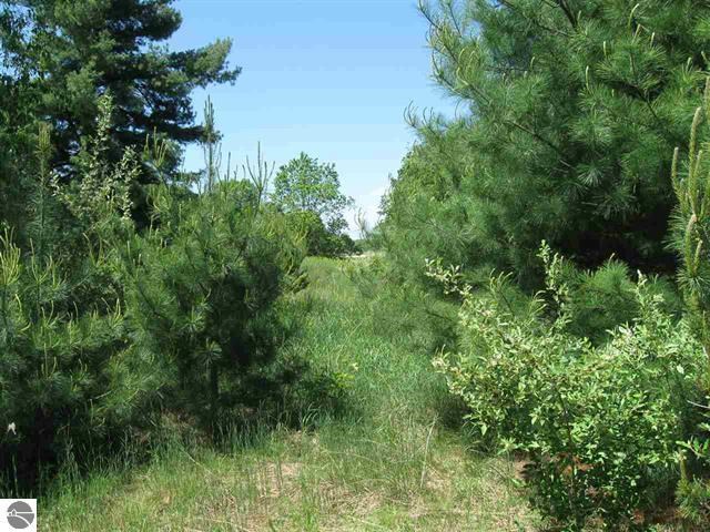 Lot 33 Alden Meadows Alden MI 49612