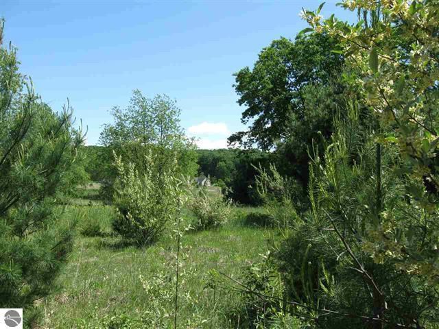 Lot 33 Alden Meadows Alden MI 49612