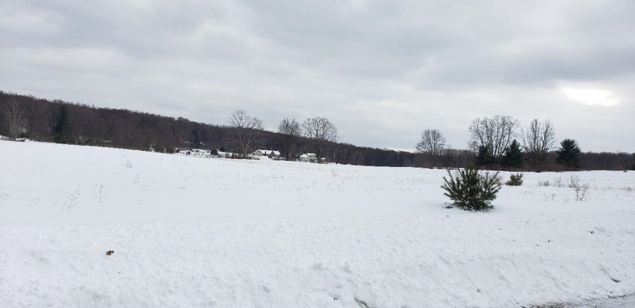 Lot 33 Alden Meadows Alden MI 49612