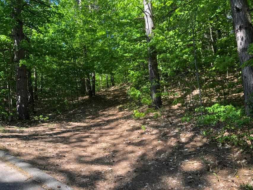 1975 + 1995 Clubhouse Drive Harbor Springs MI 49740