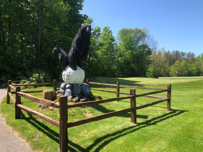 1975 + 1995 Clubhouse Drive Harbor Springs MI 49740