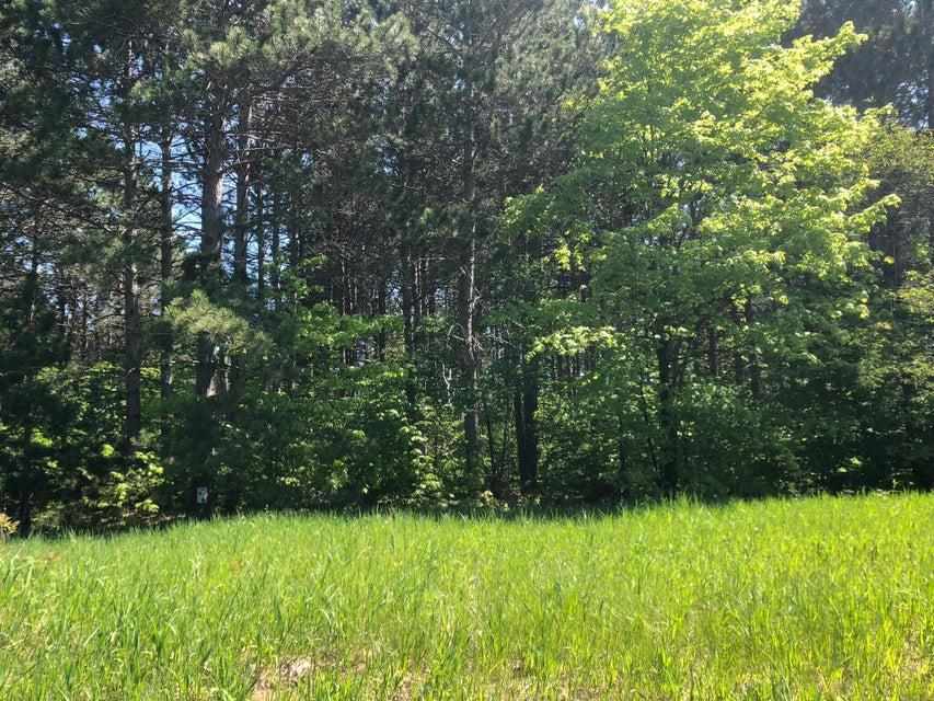 1975 + 1995 Clubhouse Drive Harbor Springs MI 49740