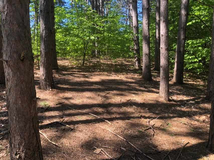 1975 + 1995 Clubhouse Drive Harbor Springs MI 49740