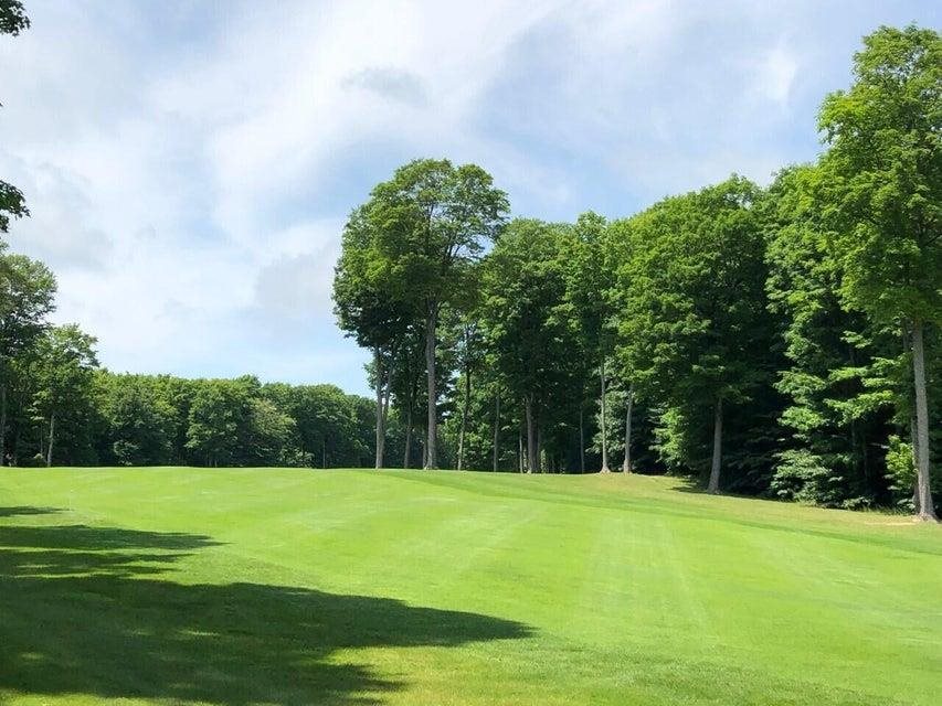 1975 + 1995 Clubhouse Drive Harbor Springs MI 49740