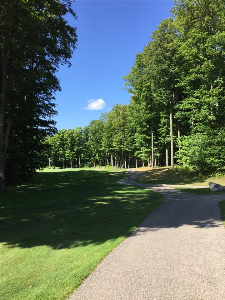 1975 + 1995 Clubhouse Drive Harbor Springs MI 49740
