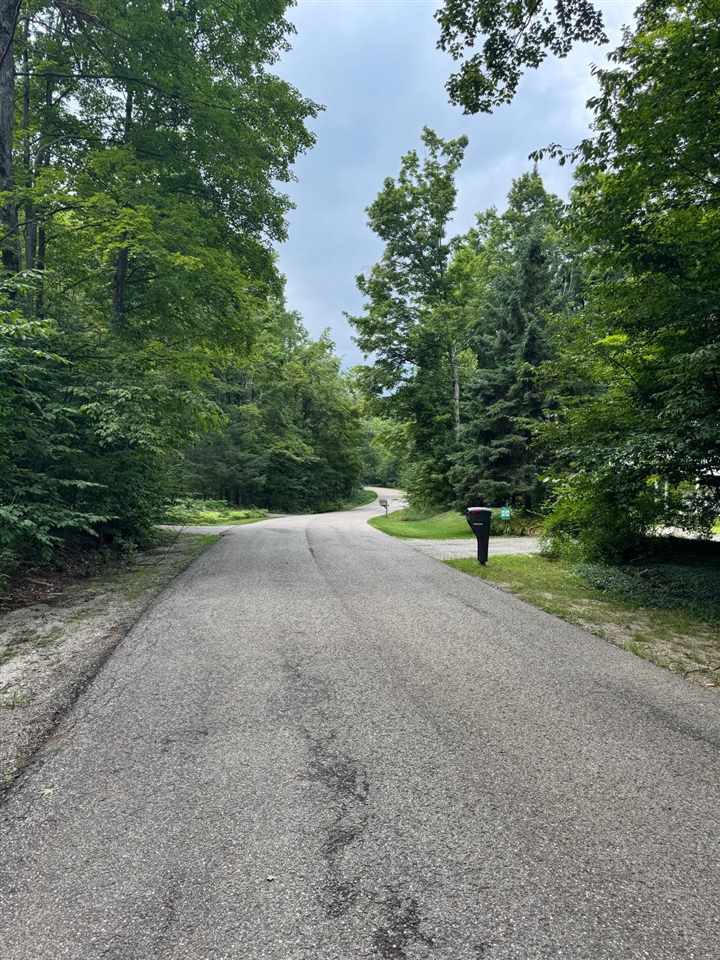 96 Stags Run Harbor Springs MI 49740