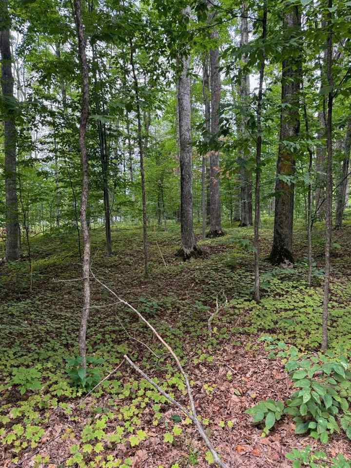 96 Stags Run Harbor Springs MI 49740