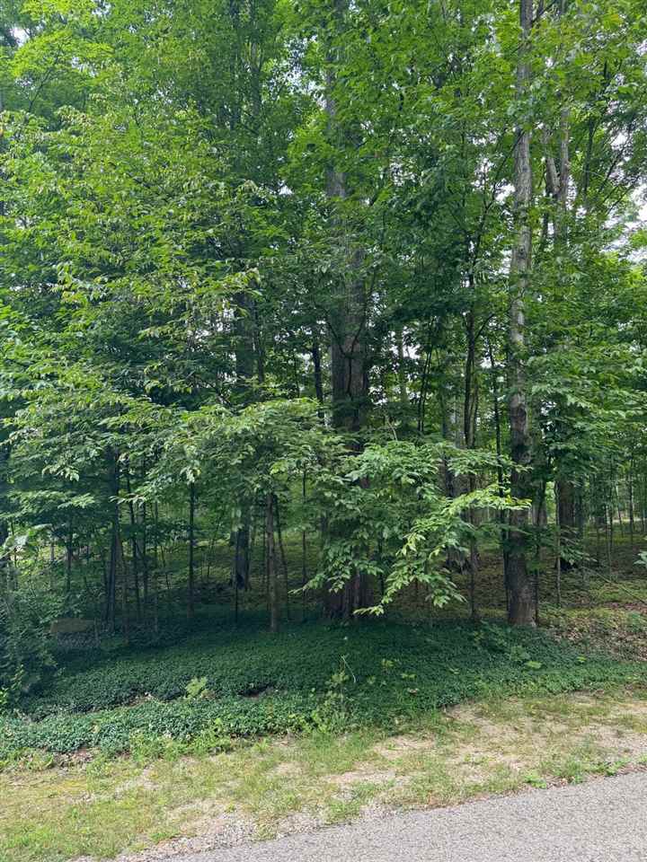 96 Stags Run Harbor Springs MI 49740