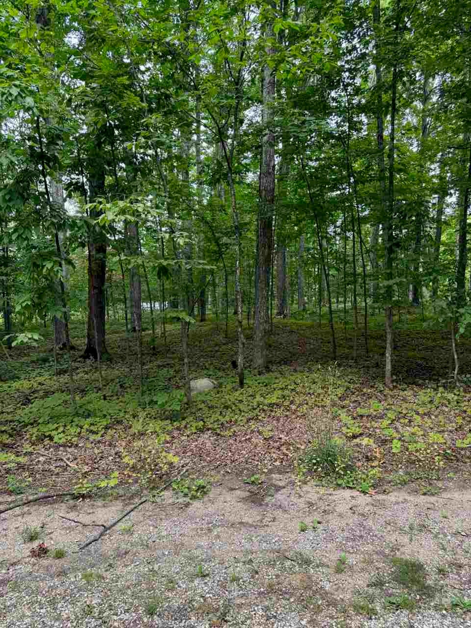 96 Stags Run Harbor Springs MI 49740