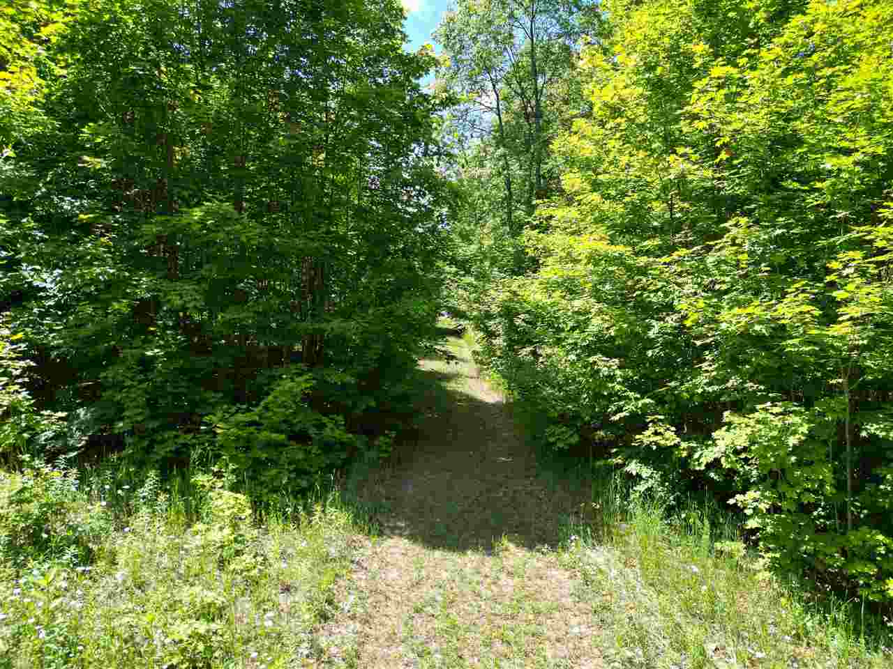 0 Bc/ej Road East Jordan MI 49727