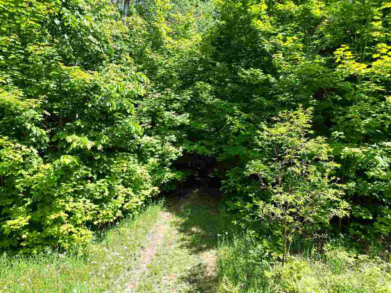 0 Bc/ej Road East Jordan MI 49727
