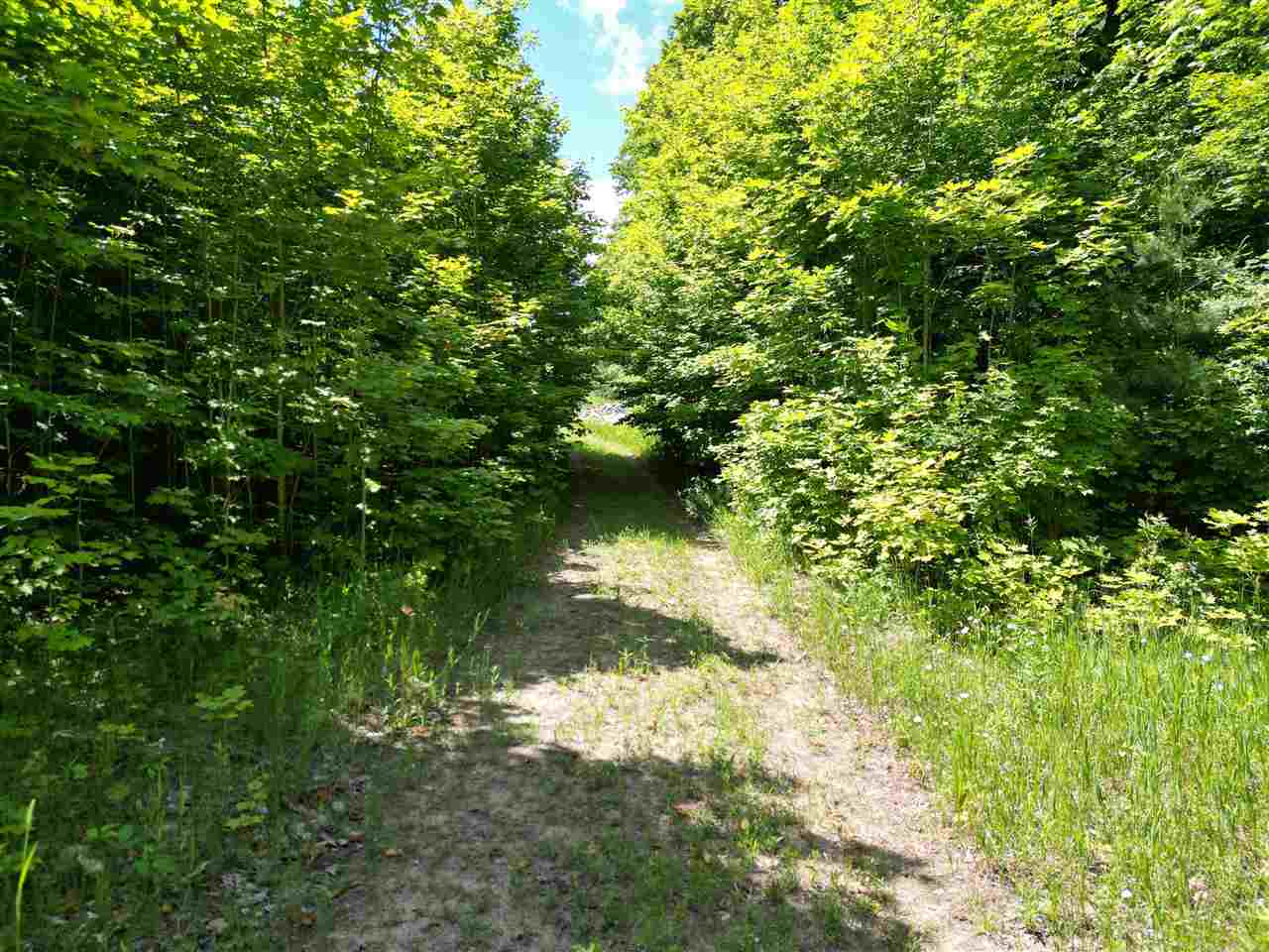 0 Bc/ej Road East Jordan MI 49727