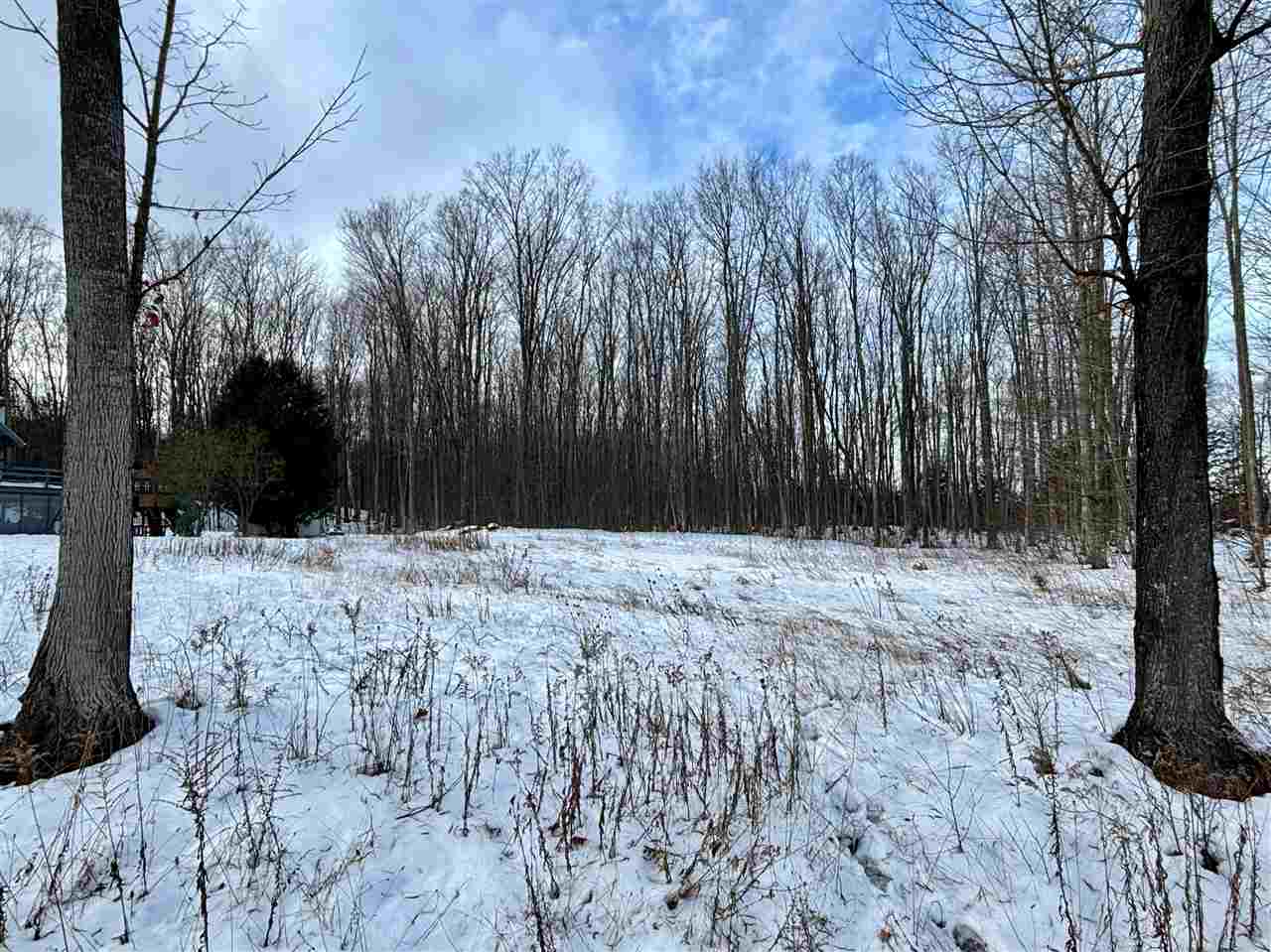 Tbd Spring Street N Charlevoix MI 49715-2