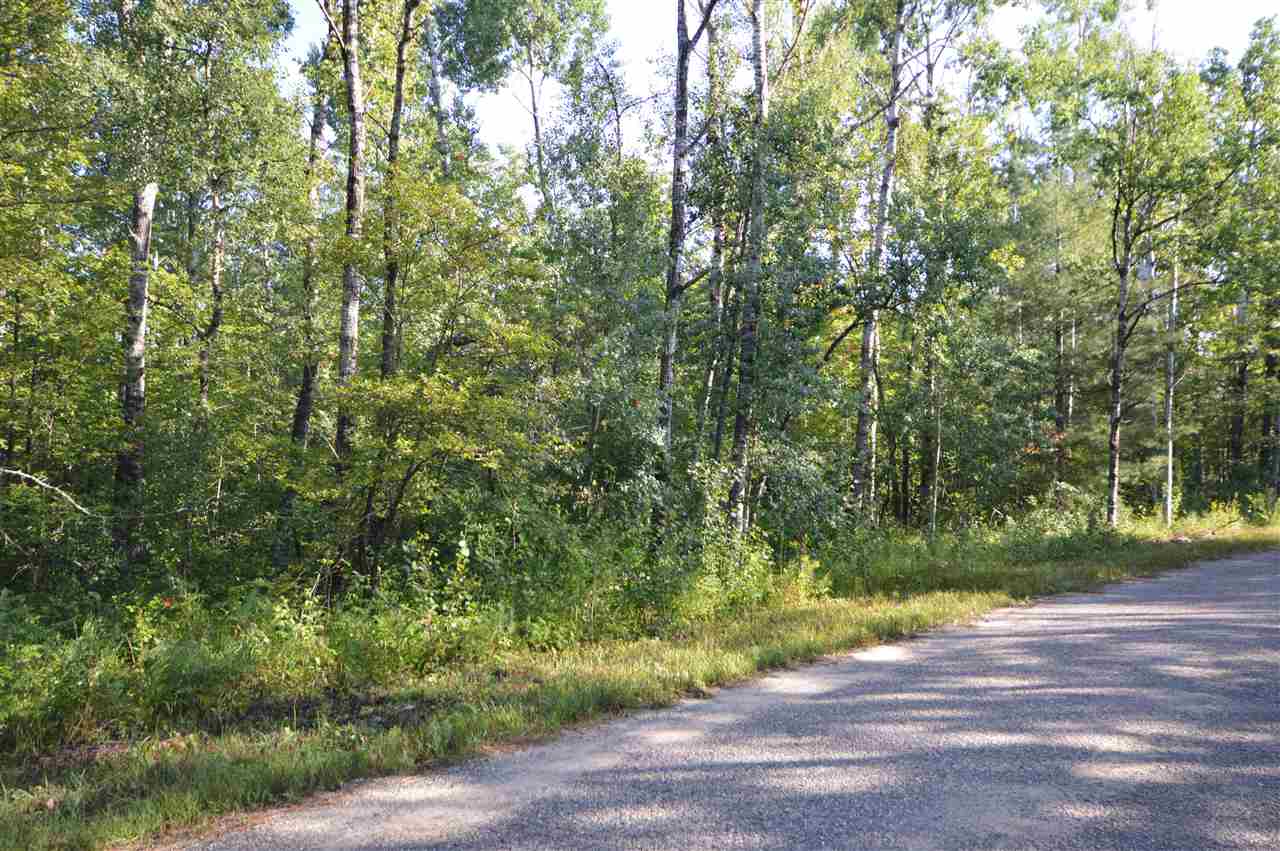 0 Cedarwood Court Mancelona MI 49795