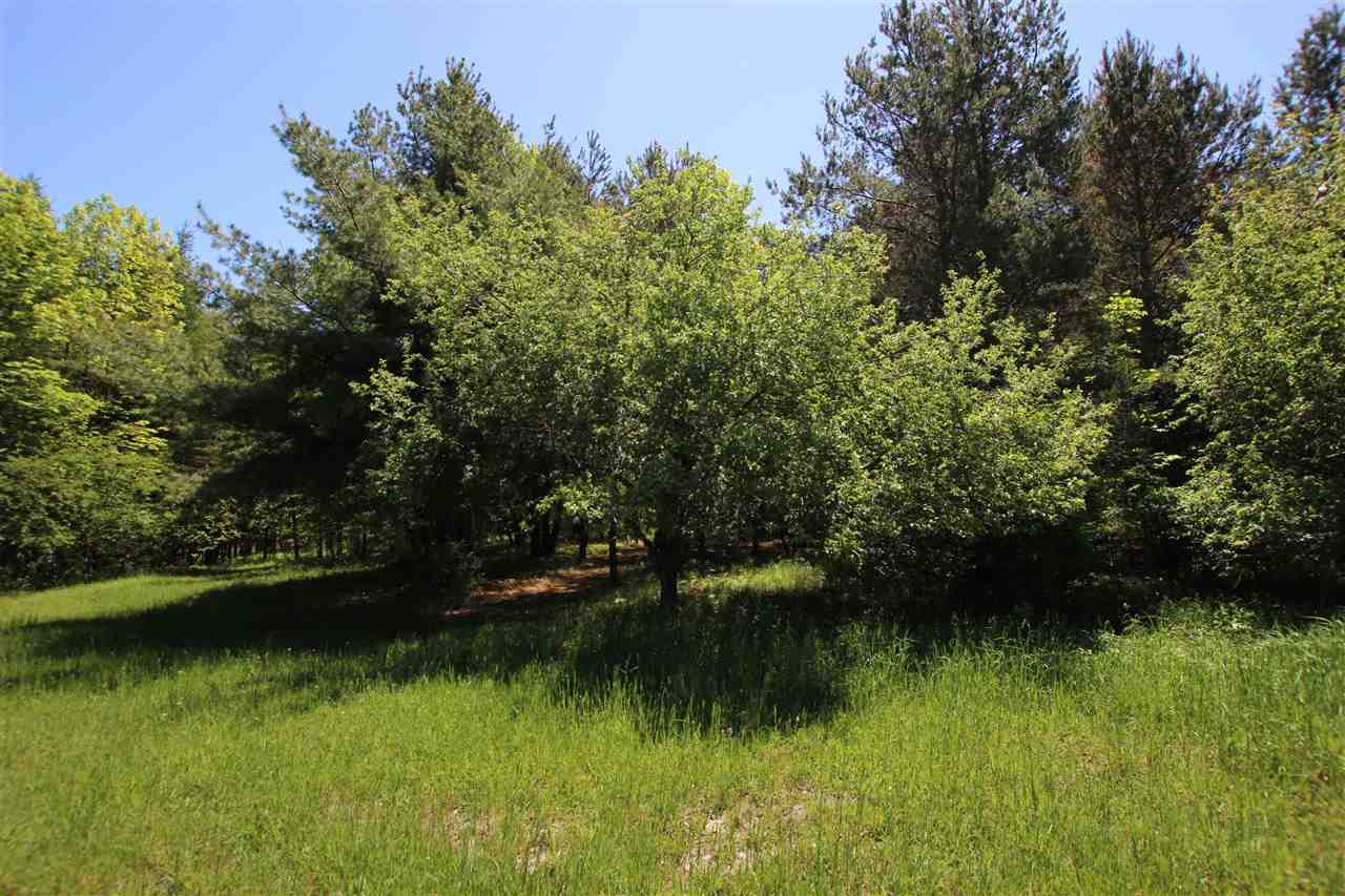 Tbd Hillman Road Ellsworth MI 49729