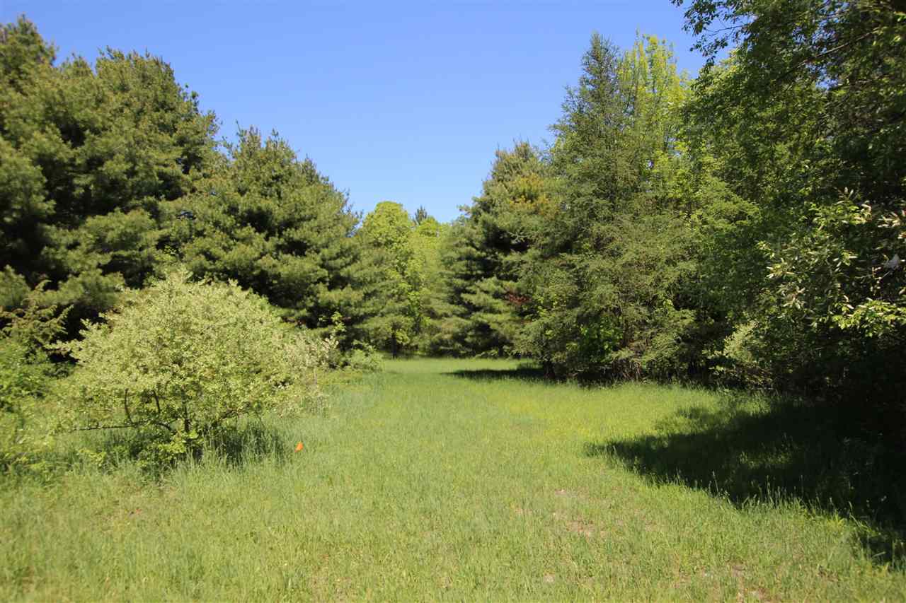 Tbd Hillman Road Ellsworth MI 49729