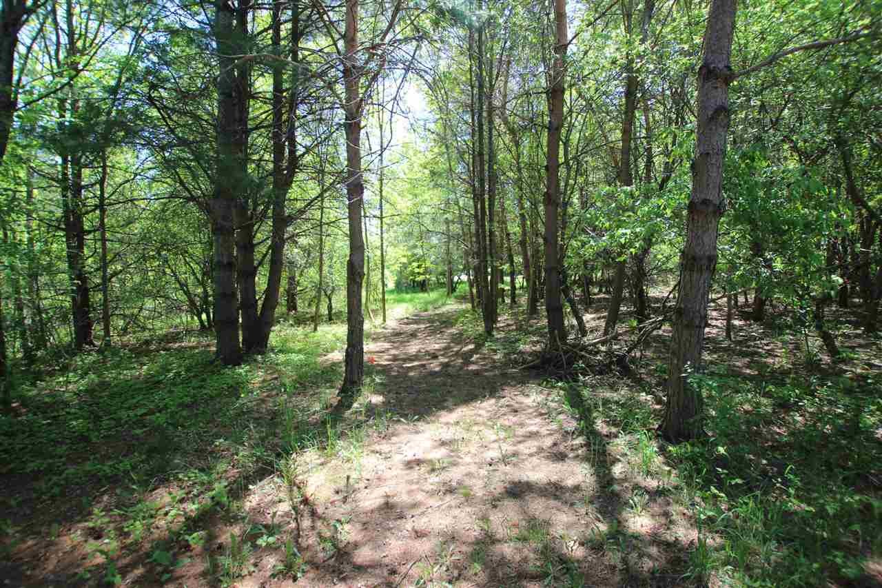 Tbd Hillman Road Ellsworth MI 49729