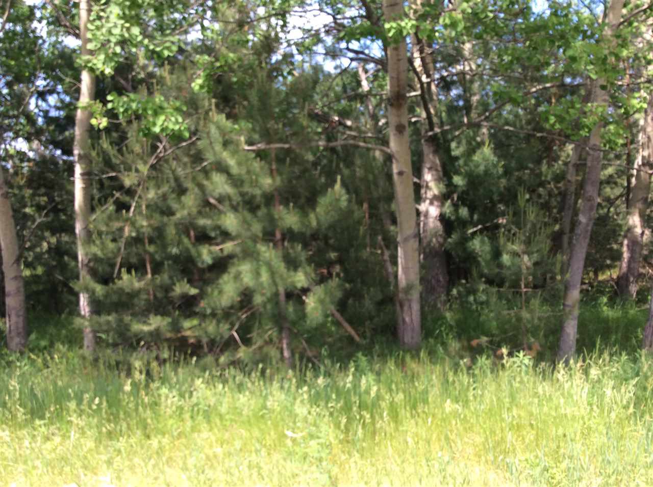 03931 Reycraft Road Boyne City MI 49712