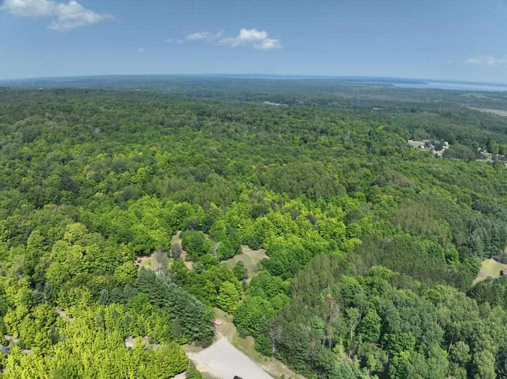 5417 Grubaugh Road Alanson MI 49706