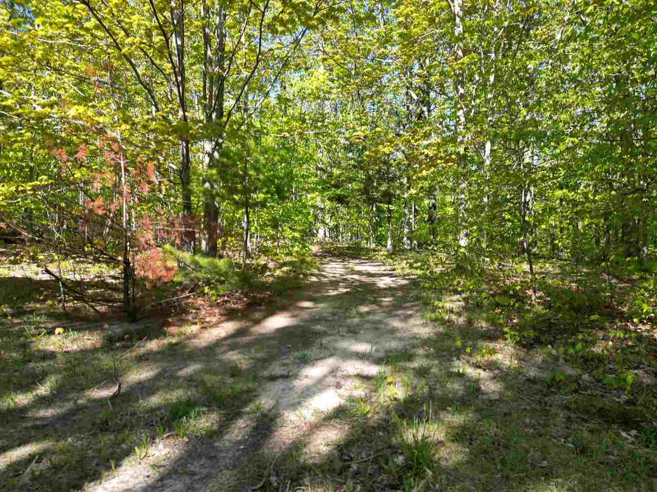 2449 Erickson Road Boyne City MI 49712