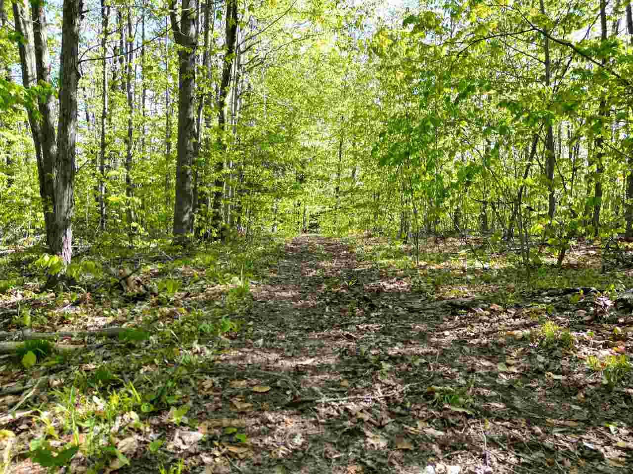 2449 Erickson Road Boyne City MI 49712