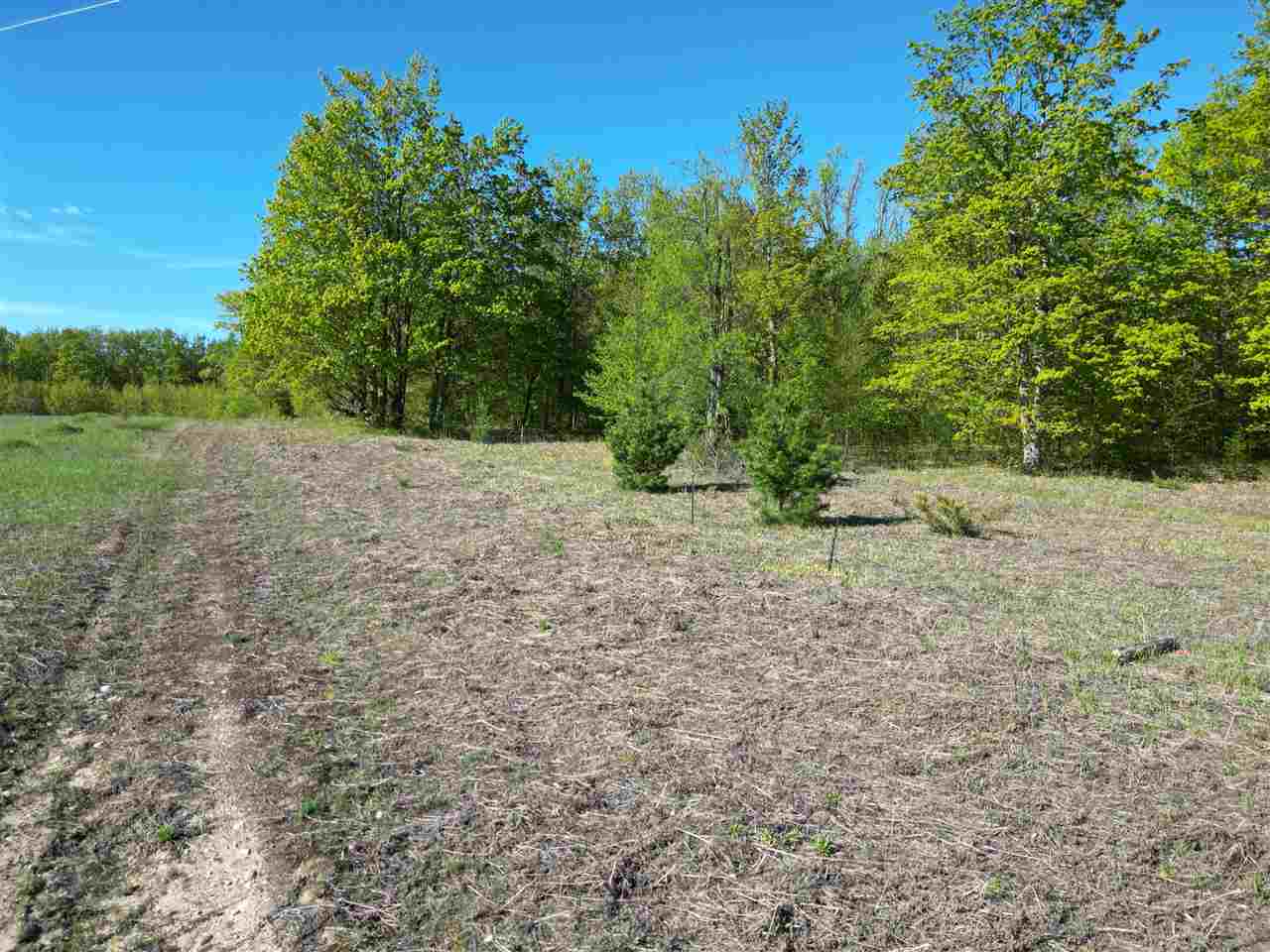 2449 Erickson Road Boyne City MI 49712