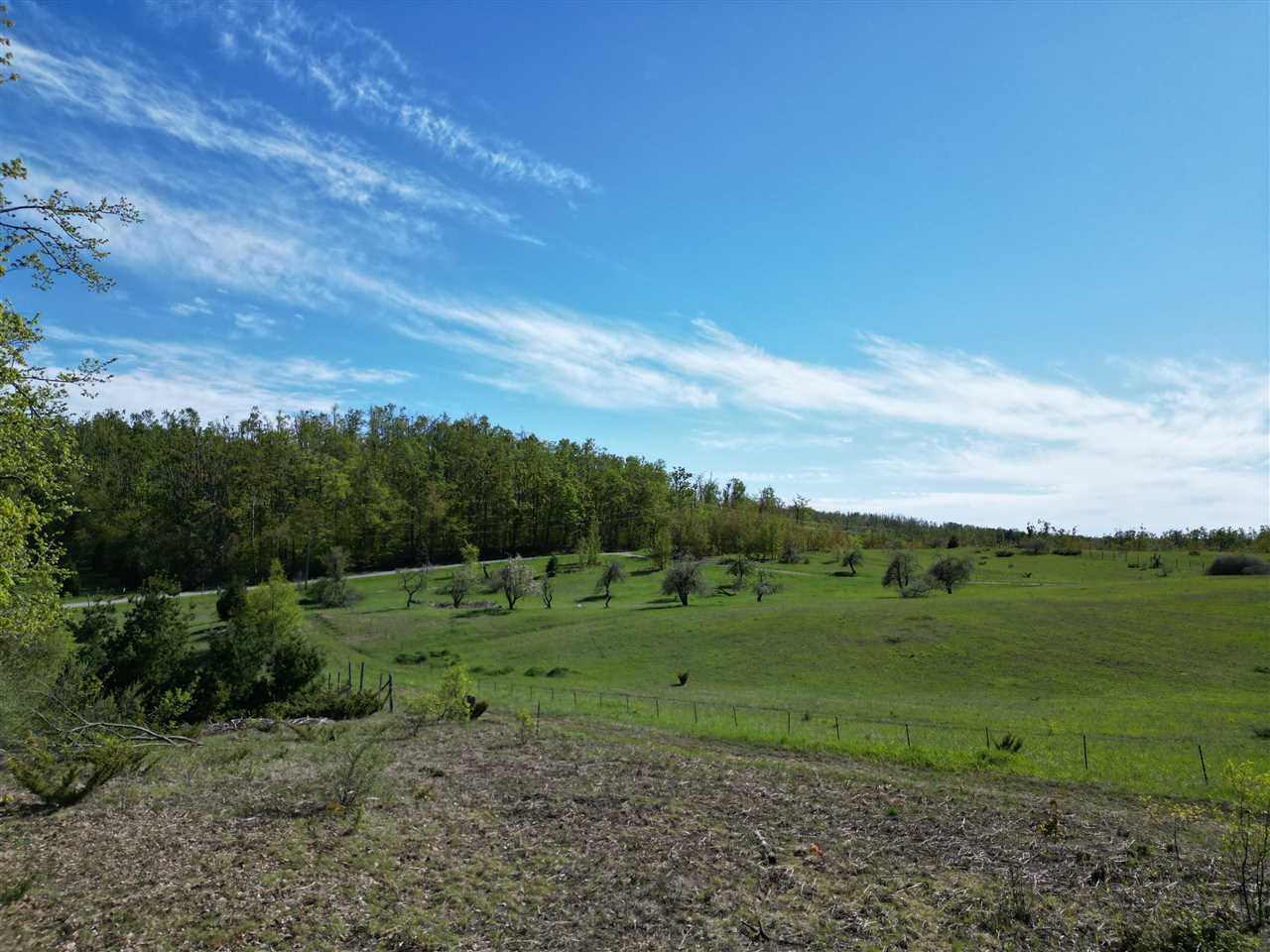 2449 Erickson Road Boyne City MI 49712