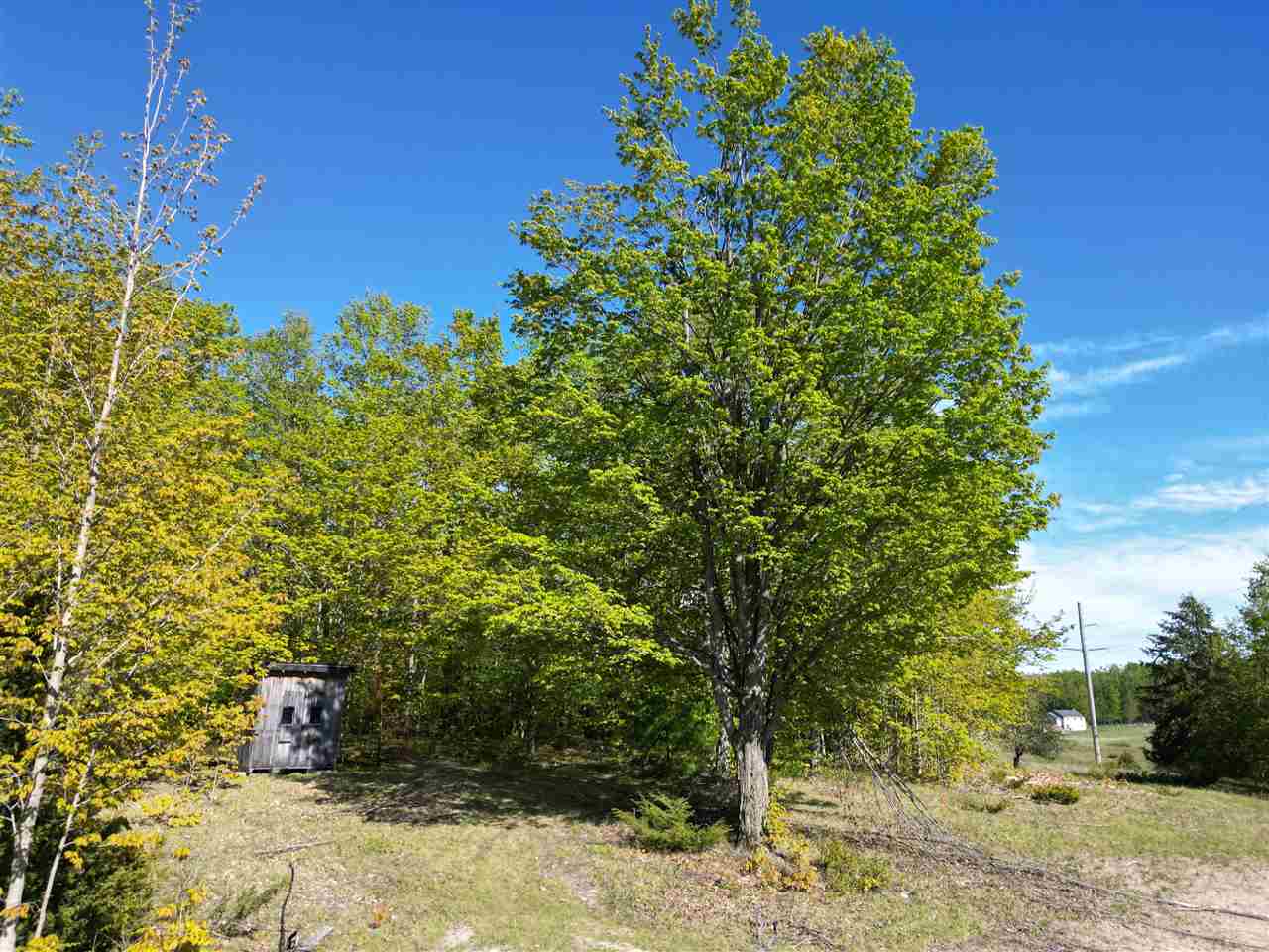 2449 Erickson Road Boyne City MI 49712