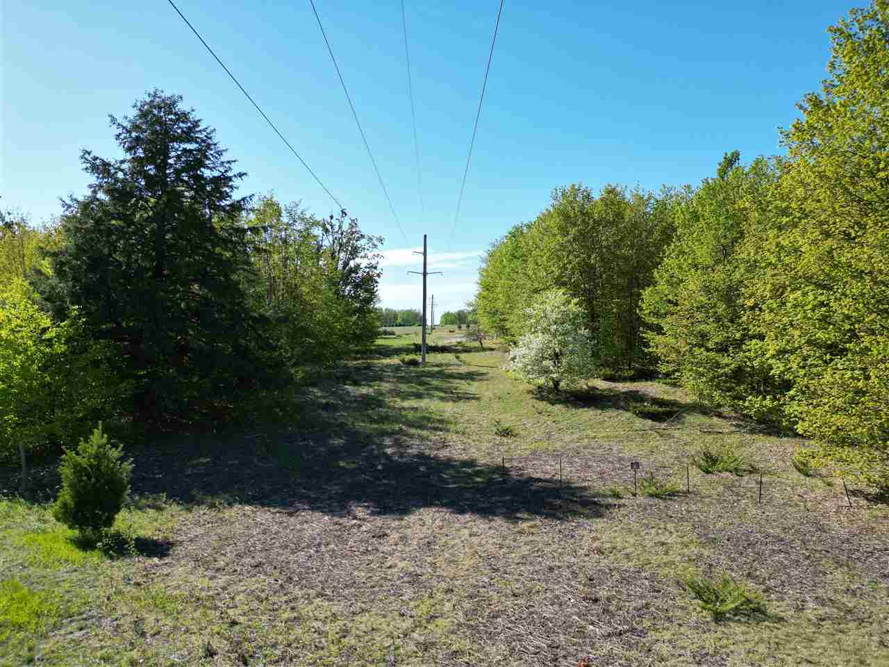 2449 Erickson Road Boyne City MI 49712