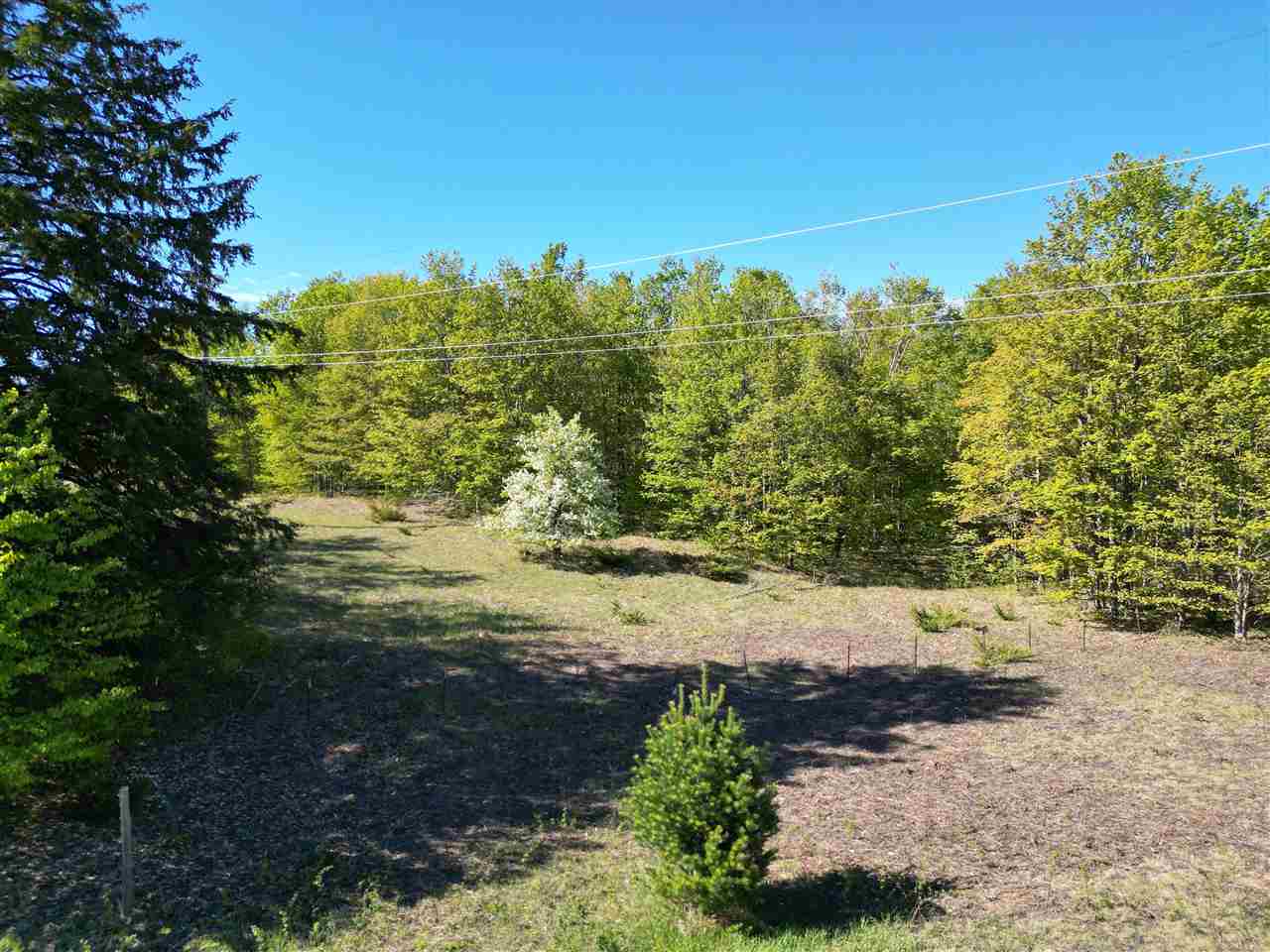 2449 Erickson Road Boyne City MI 49712