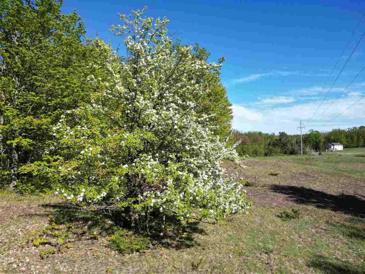 2449 Erickson Road Boyne City MI 49712