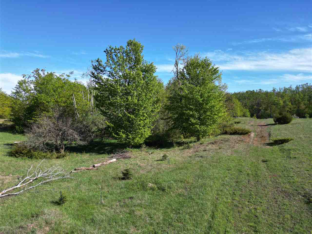 2449 Erickson Road Boyne City MI 49712