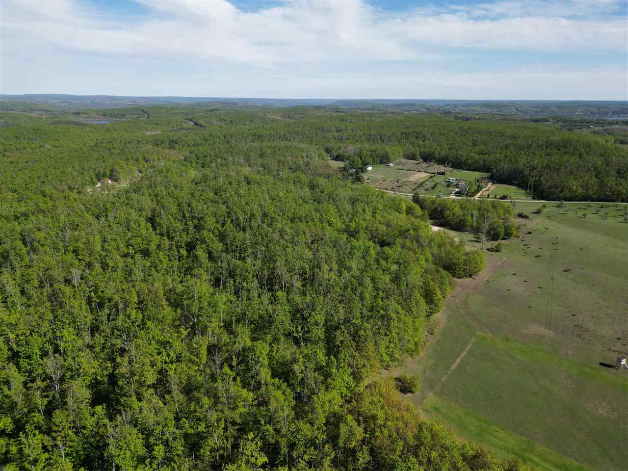 2449 Erickson Road Boyne City MI 49712
