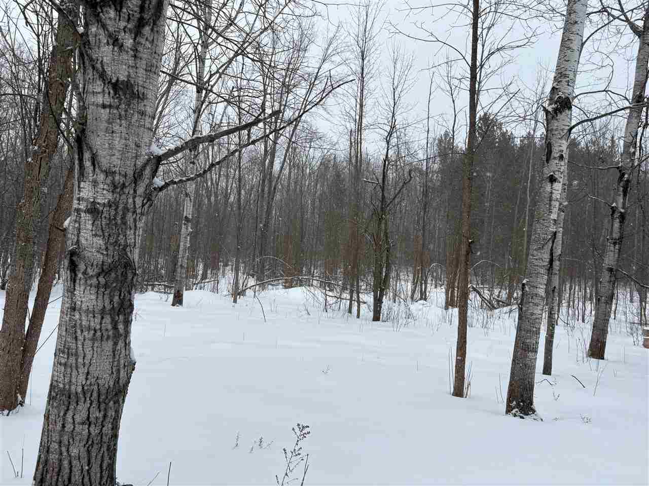 5 Red Pine Run Charlevoix MI 49720