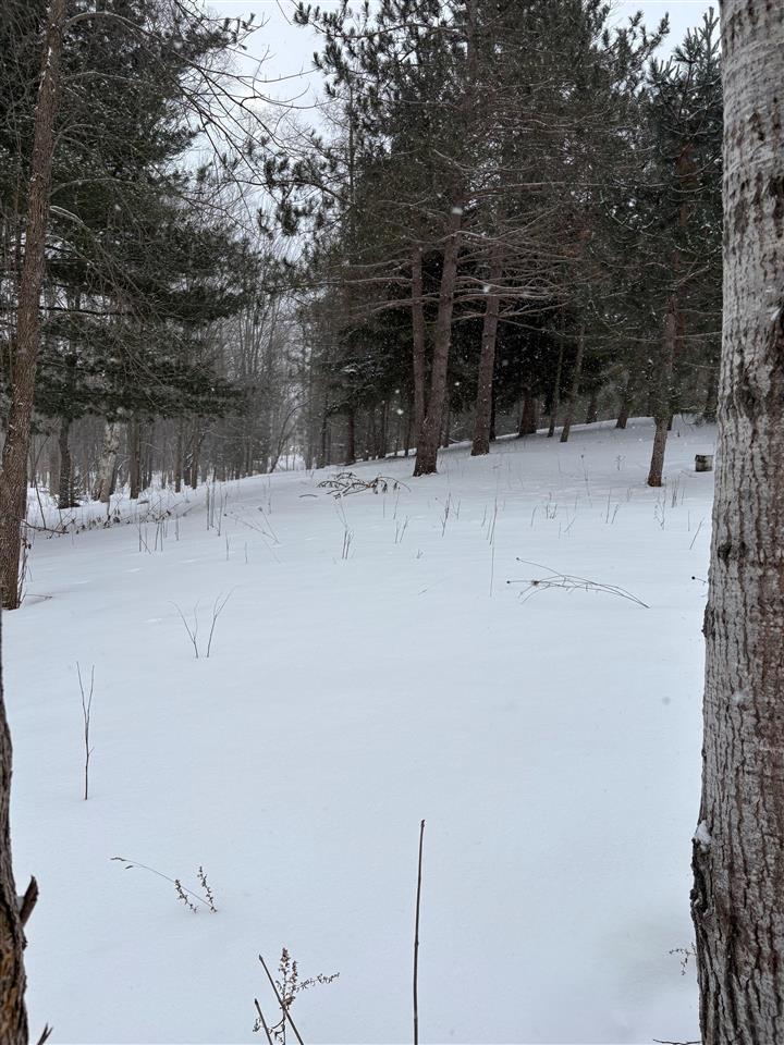 5 Red Pine Run Charlevoix MI 49720