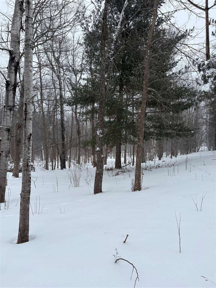 5 Red Pine Run Charlevoix MI 49720